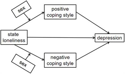 The Relationship Between State Loneliness and Depression Among Youths During COVID-19 Lockdown: Coping Style as Mediator